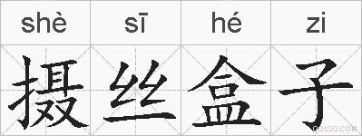 摄丝盒子的拼音