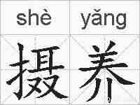 摄养的拼音