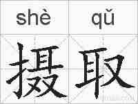 摄取的拼音