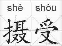 摄受的拼音