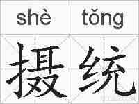 摄统的拼音