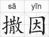 撒因的拼音