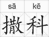 撒科的拼音
