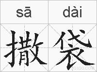撒袋的拼音