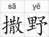 撒野的拼音