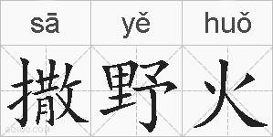 撒野火的拼音
