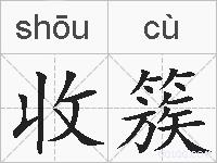收簇的拼音