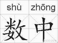 数中的拼音