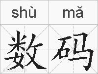 数码的拼音