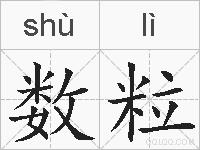 数粒的拼音