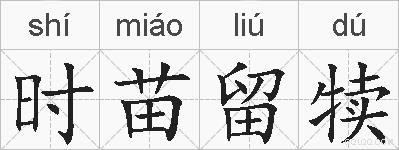 时苗留犊的拼音