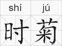 时菊的拼音