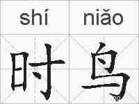 时鸟的拼音