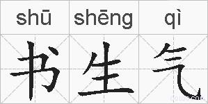 书生气的拼音