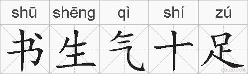 书生气十足的拼音