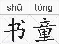 书童的拼音