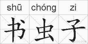 书虫子的拼音