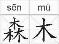 森木的拼音