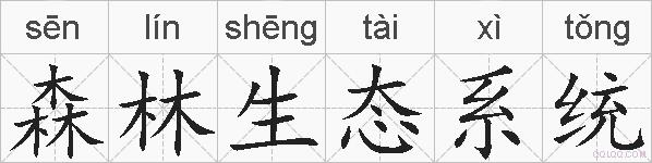 森林生态系统的拼音