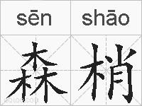 森梢的拼音