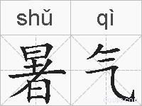暑气的拼音