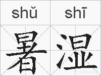 暑湿的拼音