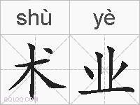术业的拼音