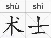 术士的拼音