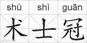 术士冠的拼音