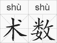术数的拼音