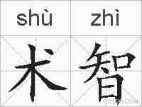 术智的拼音