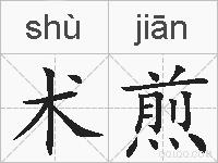 术煎的拼音