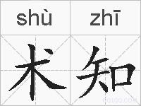 术知的拼音
