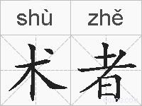 术者的拼音