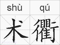 术衢的拼音