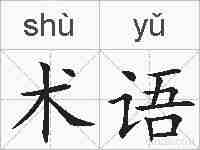 术语的拼音