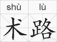 术路的拼音