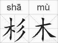 杉木的拼音