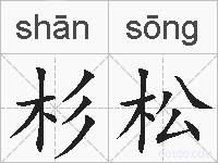 杉松的拼音