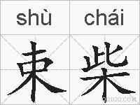 束柴的拼音