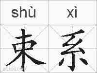 束系的拼音