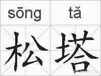 松塔的拼音