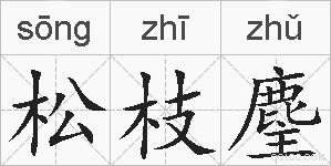 松枝麈的拼音
