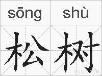 松树的拼音