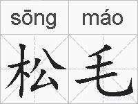 松毛的拼音