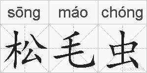 松毛虫的拼音