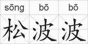 松波波的拼音