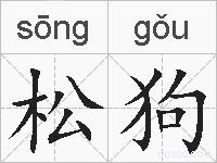松狗的拼音