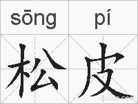 松皮的拼音