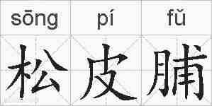 松皮脯的拼音